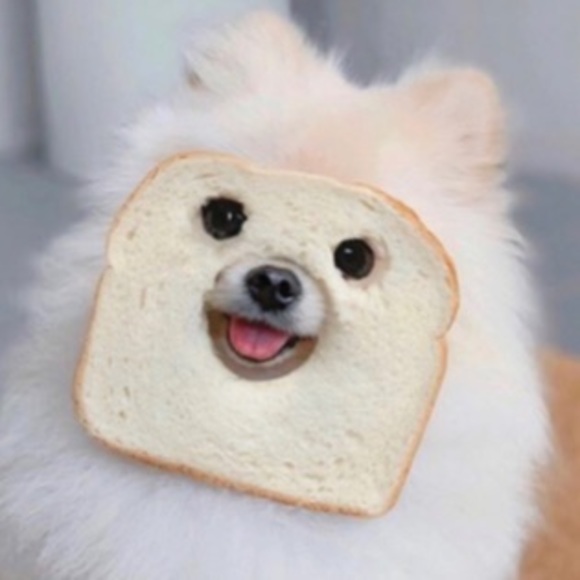 Meet your Posher, Michelle - Picture 1 of 1